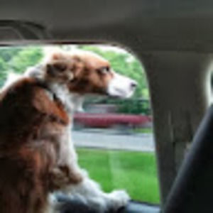 Meet your Posher, Gary. julia